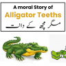 The Story of Alligator Teeths and beautiful moral