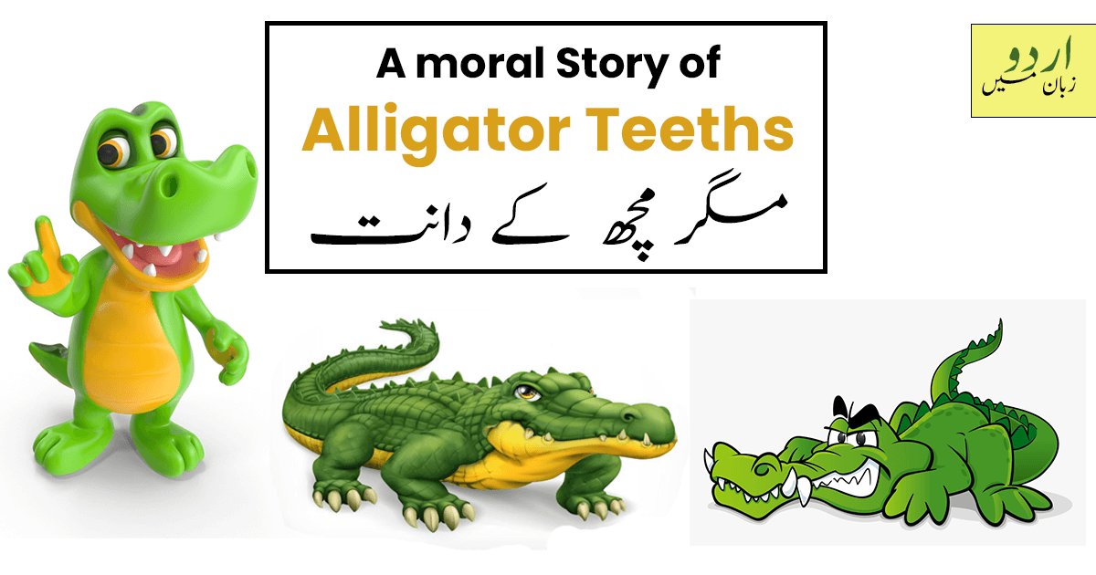 Story of Alligator Teeths in Urdu