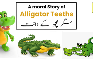 The Story of Alligator Teeths and beautiful moral