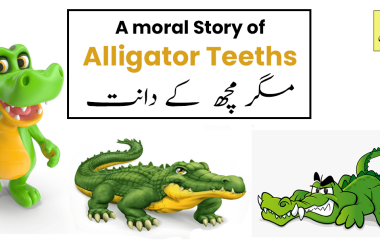 The Story of Alligator Teeths and beautiful moral